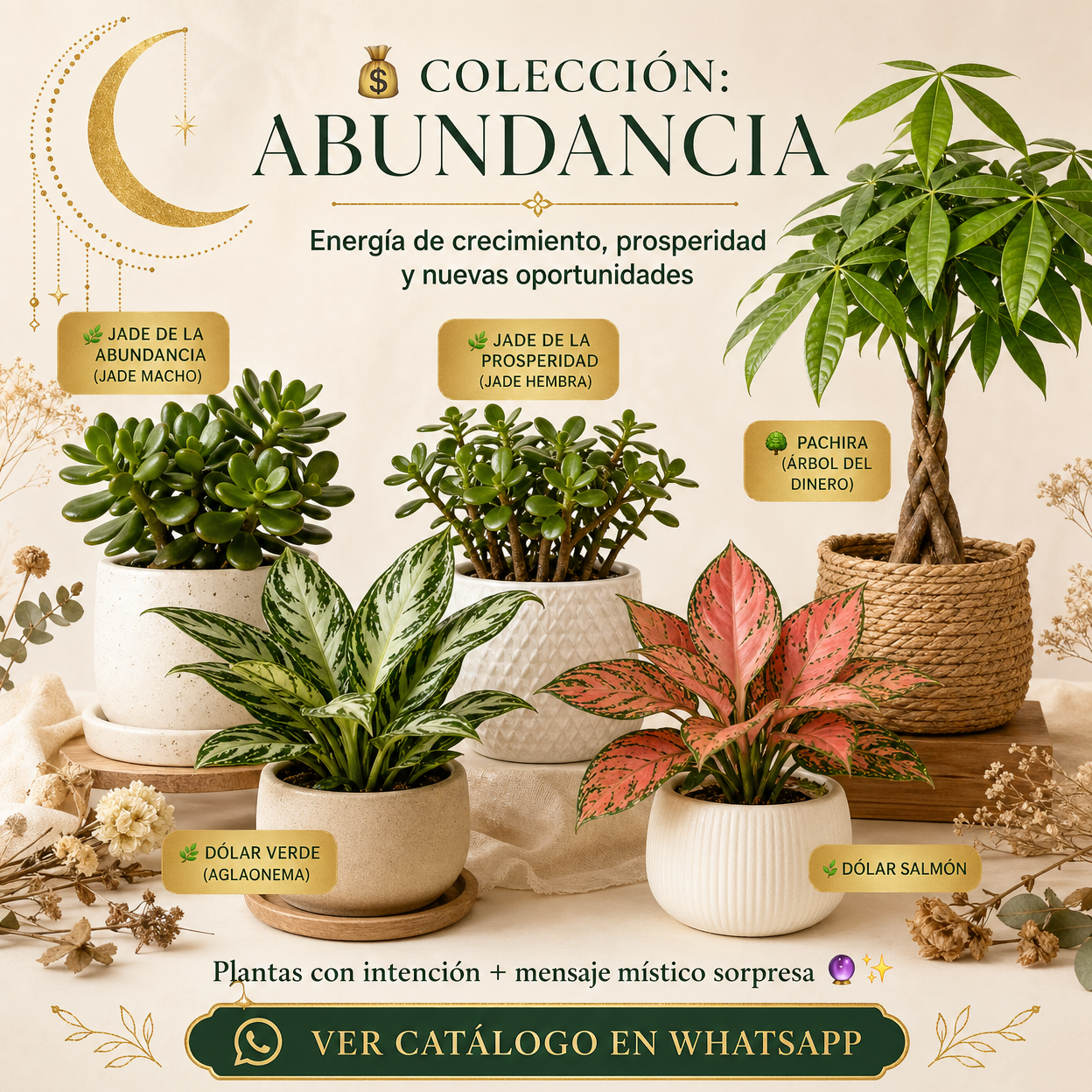 Abundancia