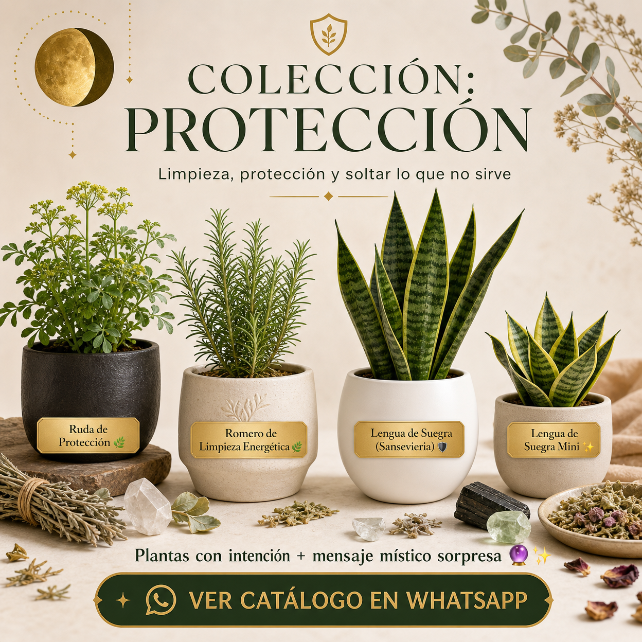 Protección